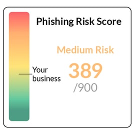 Phishing risk score